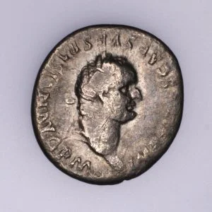 Titus Denarius - AR Elephant