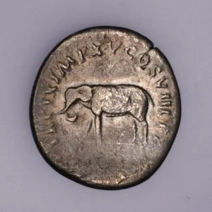 Alternative view of Titus Denarius - AR Elephant