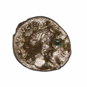 Septimius-Severus-Fourree-Denarius-obv