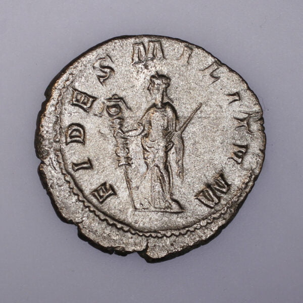 97 Gordian III AR Antoninianus FIDES MILITVM RIC 1 rev
