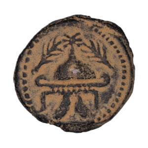 Herod-the-Great-8-Prutot-Hendin-486-obv