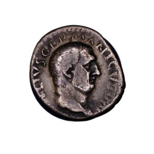 Vitellius AR Denarius - Oak Wreath-RIC 69A-obv