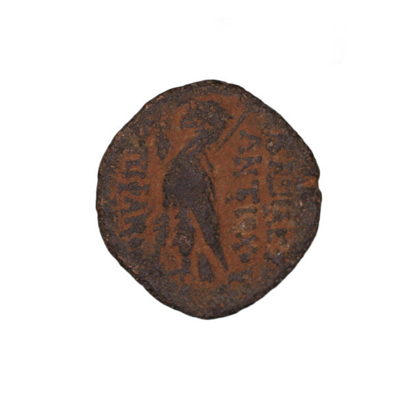 Seleucid Kingdom AE - Antiochos VIII (Antioch ad Orontem mint)