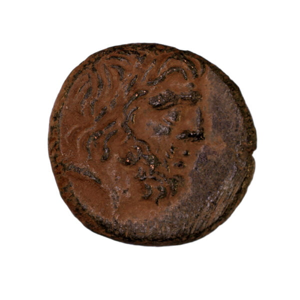 Pharnakia, Pontos - AE Mithradates VI Eupator