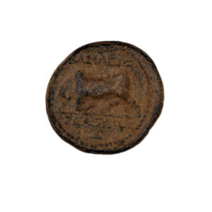 Alternative view of Seleucia AE - Seleukos I Nikator (Antioch ad Orontem)