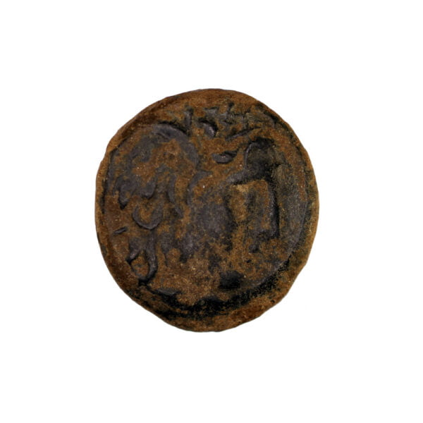 Seleucia AE - Seleukos I Nikator (Antioch ad Orontem)
