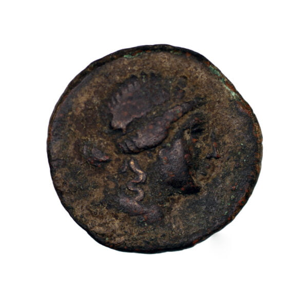 Kings of Bithynia, Prusias II Cynegos AE - Centaur