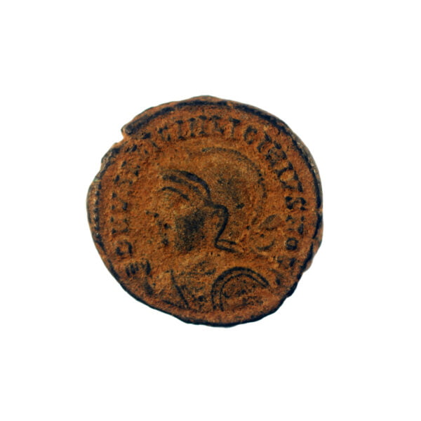 Licinius II as Caesar AE Follis - IOVI CONSERVATORI (Alexandria Mint)