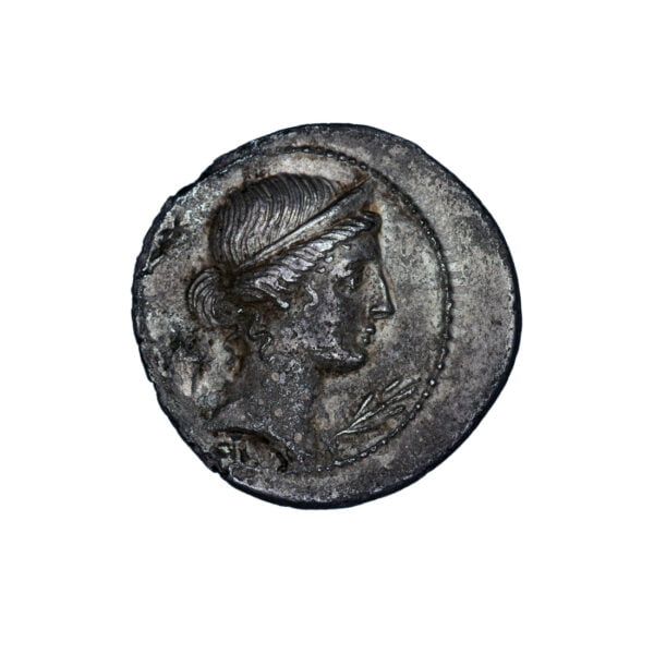 Octavian AR Denarius - CAESAR DIVI-F
