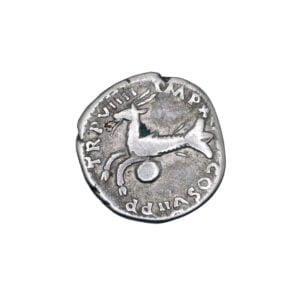 Titus AR Denarius - Capricorn