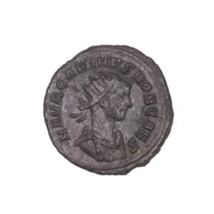 Carinus BI Antoninianus - PIETAS AVGG (Rome Mint)
