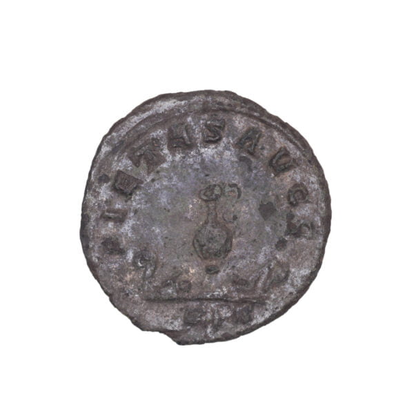 Carinus BI Antoninianus - PIETAS AVGG (Rome Mint)