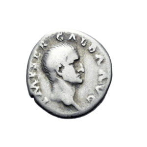Galba AR Denarius - S P Q R in Oak Wreath