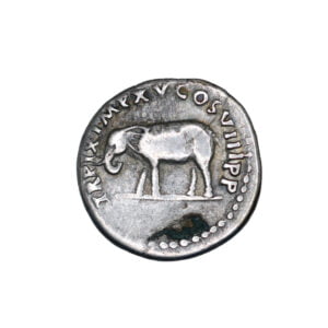 Titus AR Denarius - Elephant Walking
