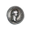 Domitian AR Denarius - SALVS AVG