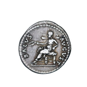 Domitian AR Denarius - SALVS AVG