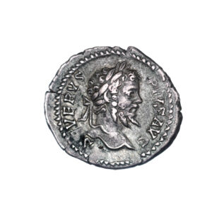 Septimius Severus AR Denarius - INDVLGENTIA AVGG, IN CARTH