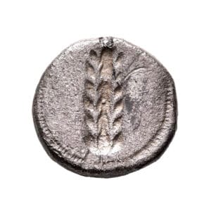Lucania, Metapontion AR Stater - Ear of Barley