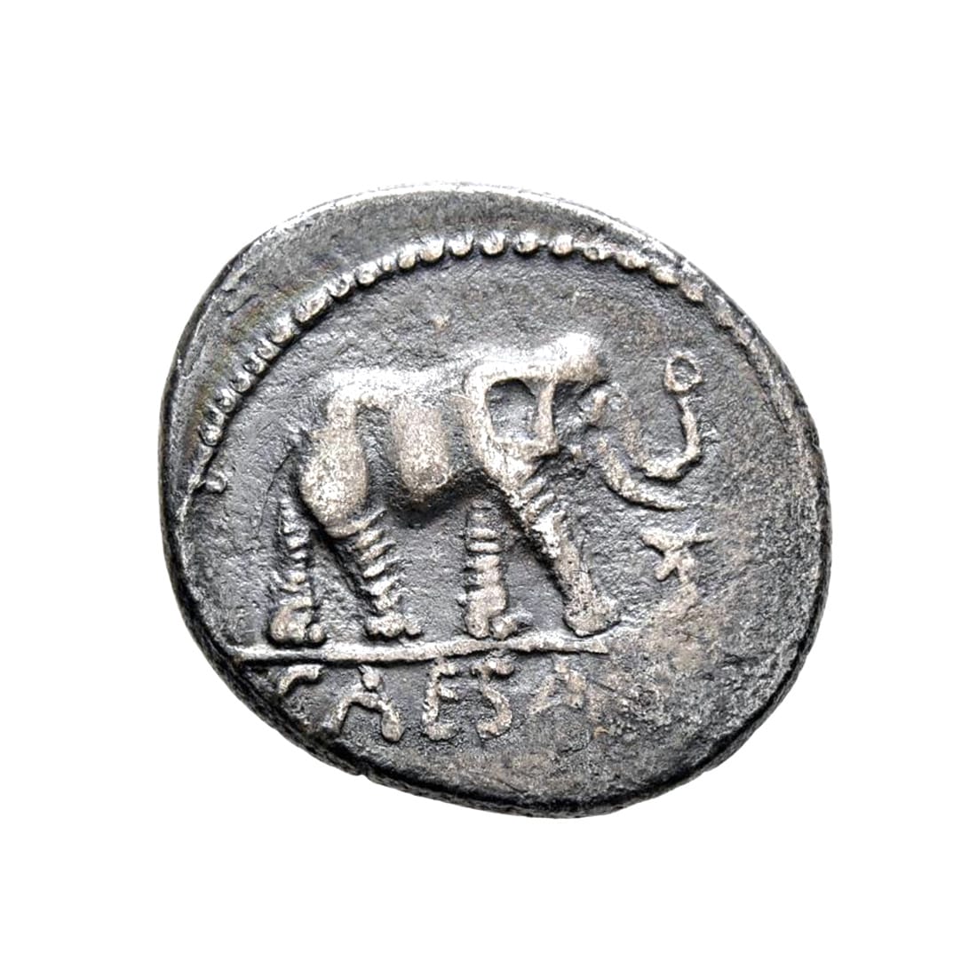 Julius Caesar AR Denarius - Elephant Trampling (Military Mint)