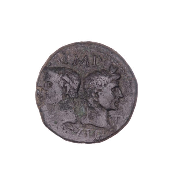 Augustus AE Dupondius (with Agrippa) - COL NEM