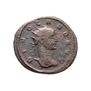 Divus Carus AE Antoninianus - DIVO CARO AVG (Antioch Mint)