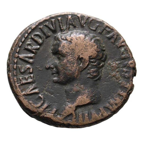 Tiberius Posthumous AE As - Restitution Issue Struck Under Titus