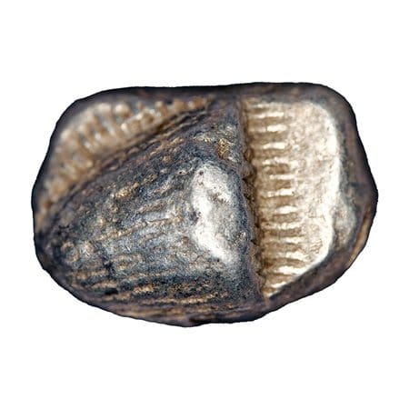 Sinope, Paphlagonia AR Drachm - Eagle's Head