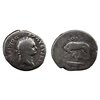 Domitian AR Denarius - Wolf & Twins