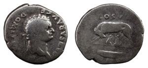 Domitian AR Denarius - Wolf & Twins