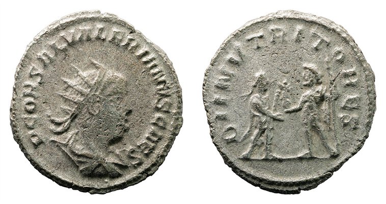 Saloninus BI Antoninianus - DII NVTRITORES (Antioch Mint)